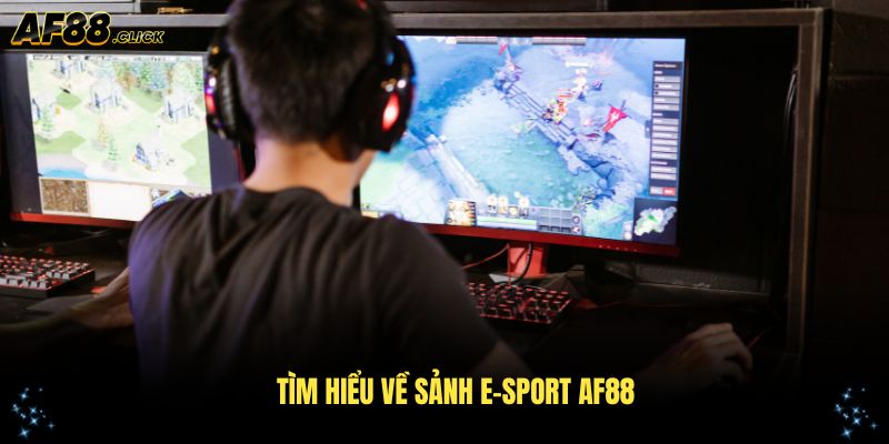 Tìm hiểu về sảnh e-sport AF88 cùng nhiều điều đặc sắc